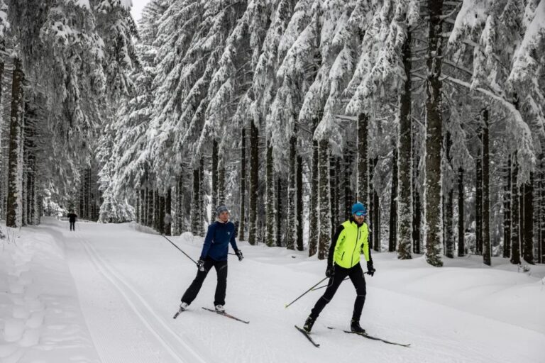 Ski de fond en Auvergne : découvrez les plus beaux espaces