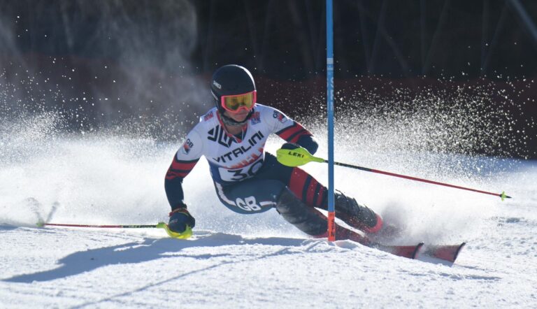 Vente aux enchères de chalets de ski pour récolter des fonds pour les skieurs blessés