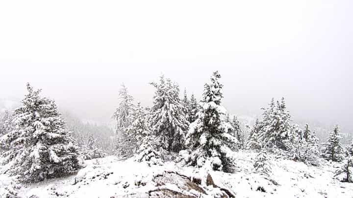 Rare neige d'été pour Banff Sunshine Village. | Photo: Banff Sunshine Village 