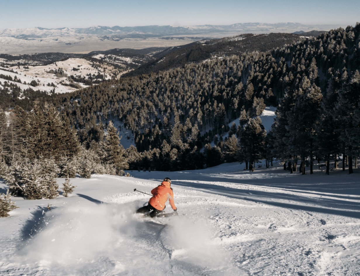 Grande glace de ski de division 