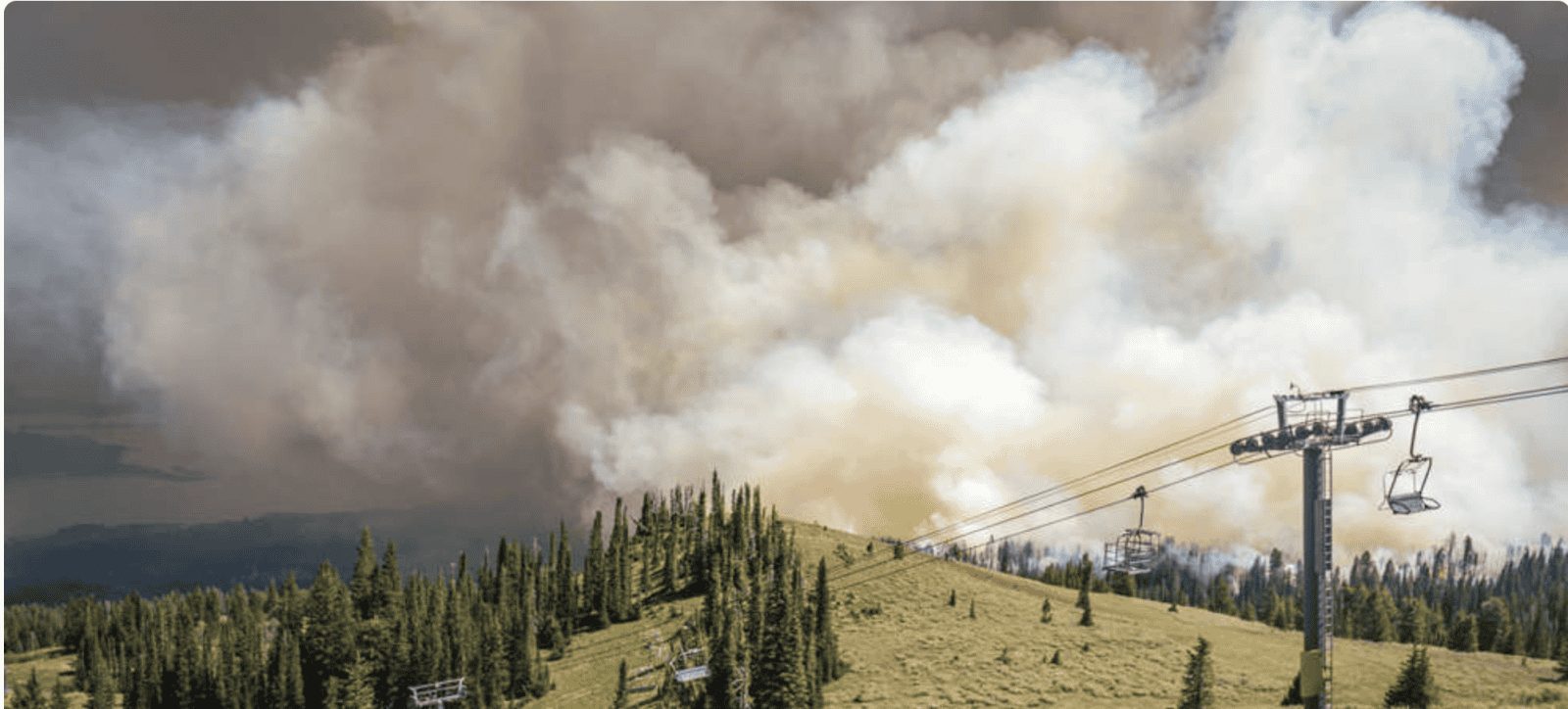 Tamarack Wildfire