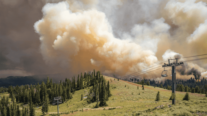 Tamarack Wildfire