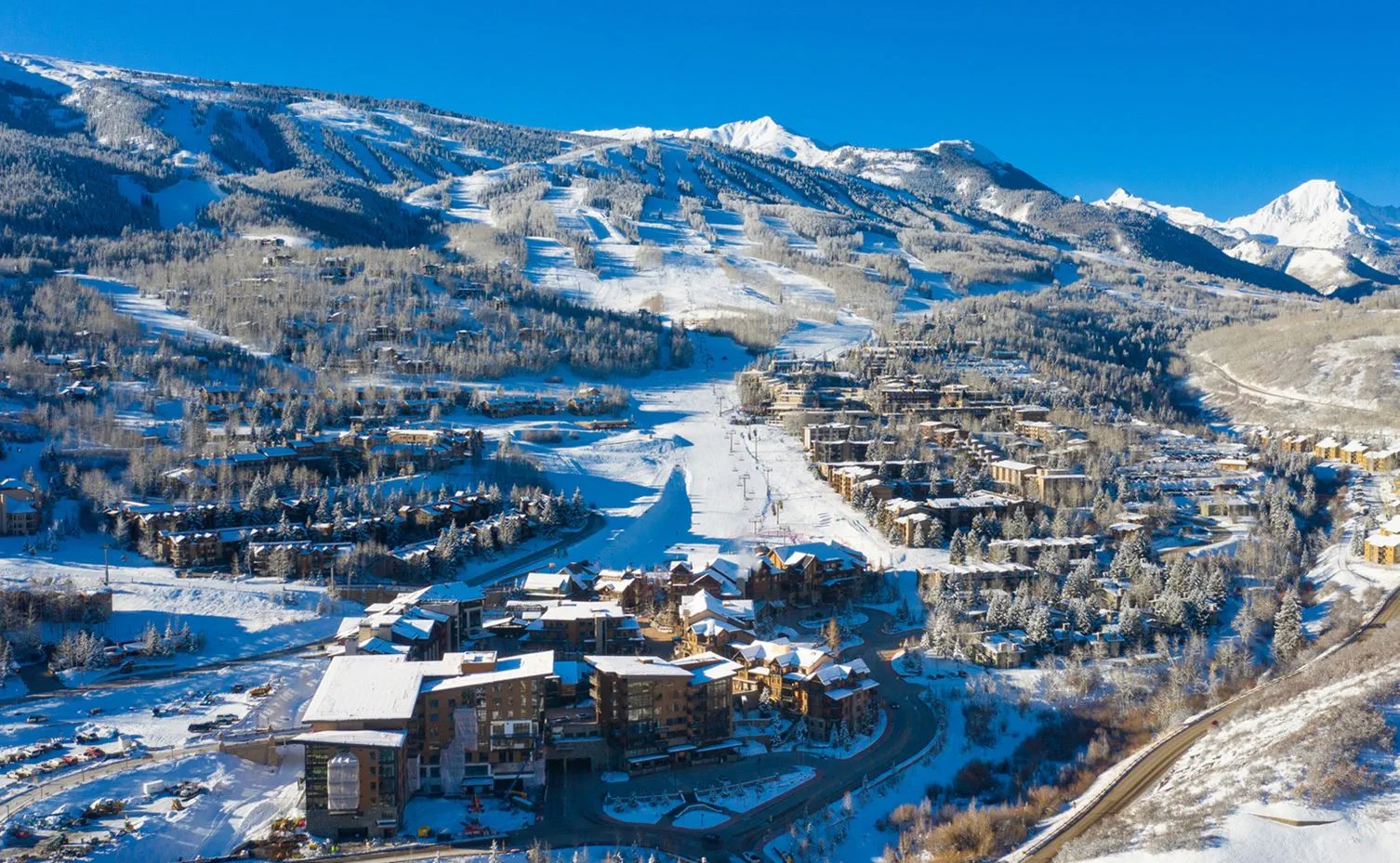 tremble du Colorado