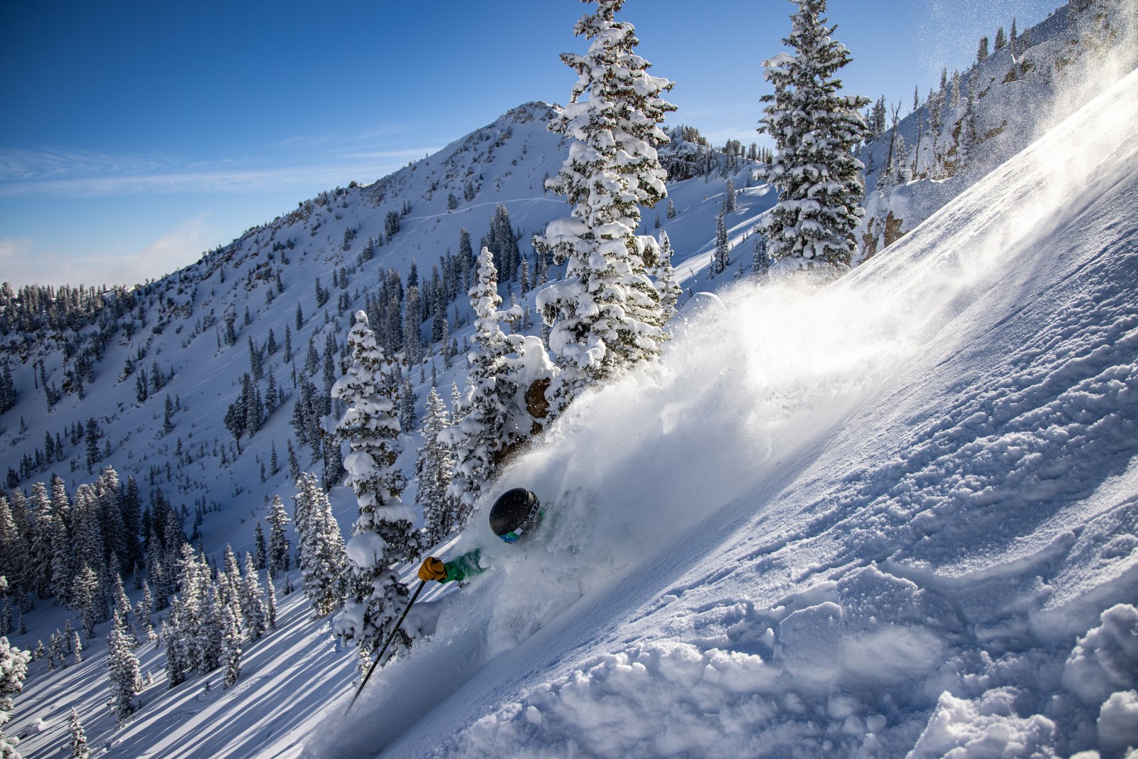 ski de poudreuse