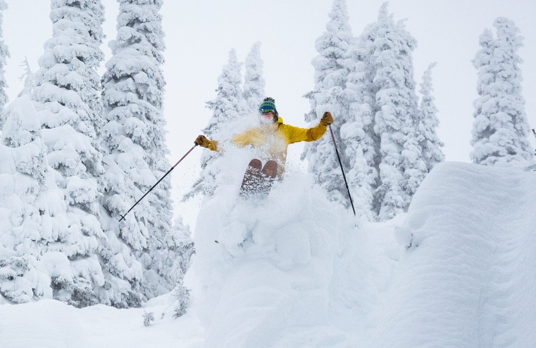 poudreuse de skieur