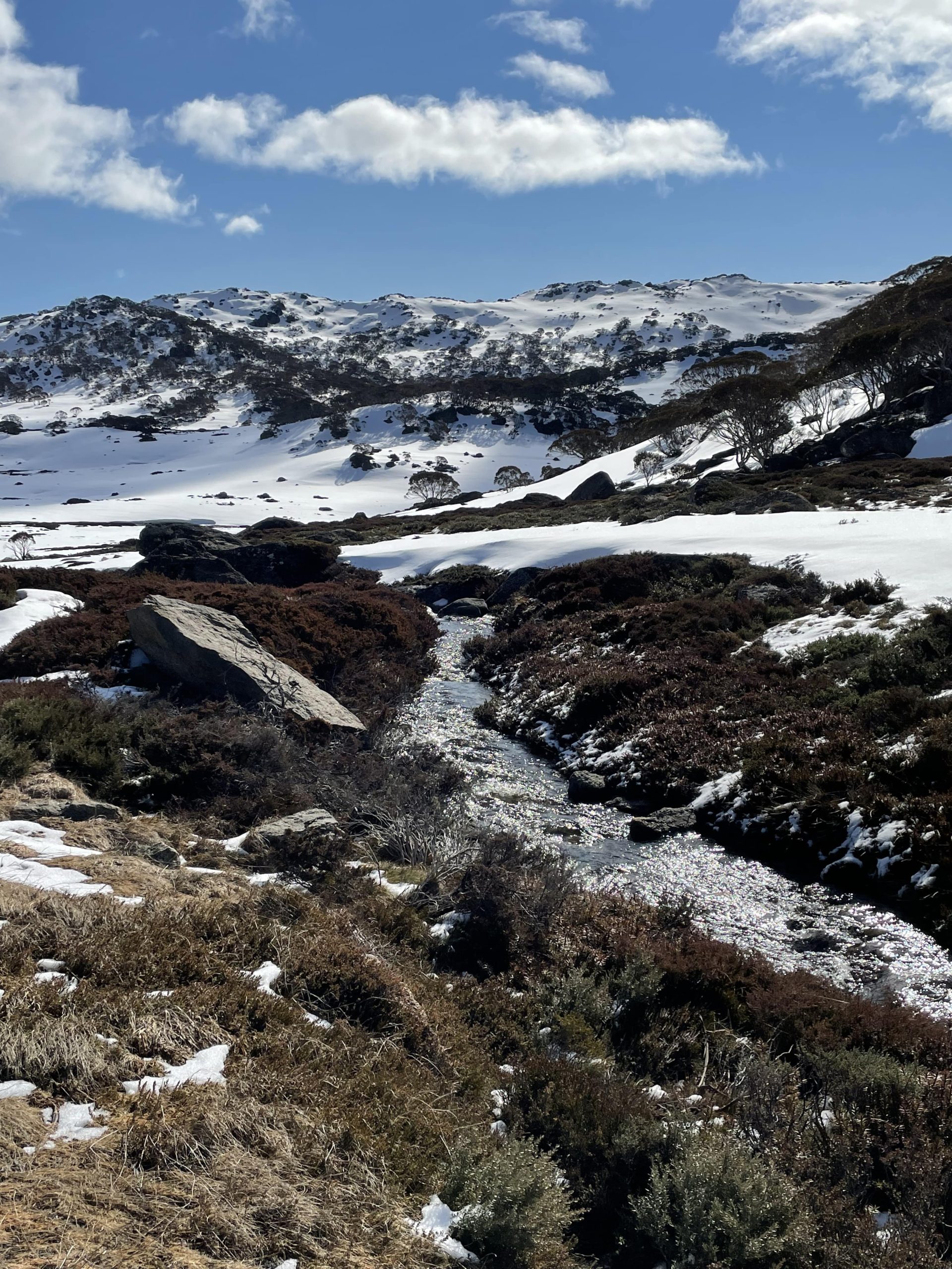 Montagnes enneigées