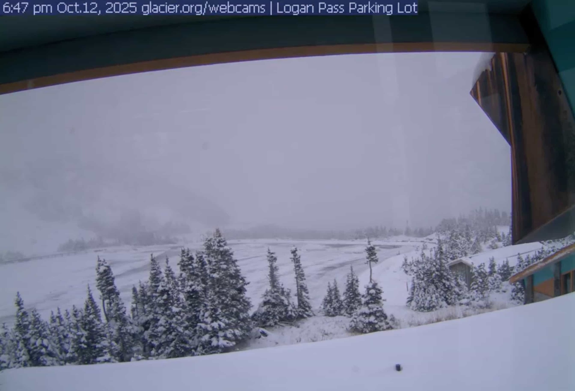 Parking Logan Pass dimanche soir. | Capture d'écran de la webcam NPS