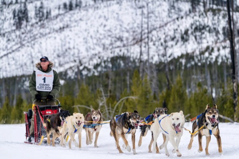 Idaho Sled Dog Challenge annonce son arrêt