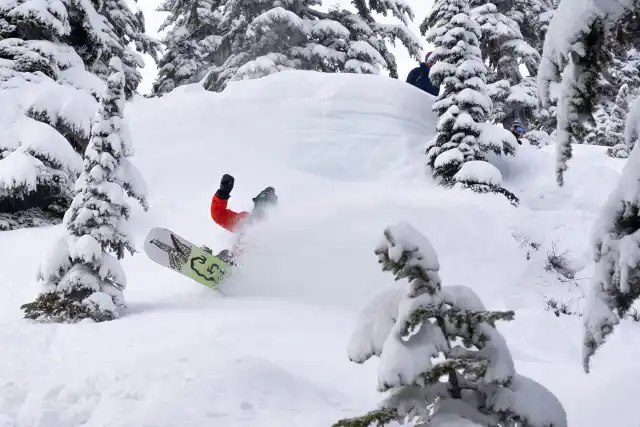 alpinal, Washington, snowboard