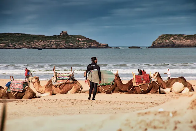 Essaouira, Maroc Ski et surf le même jour