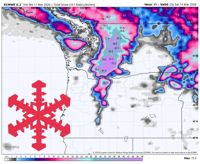 Prévisions SnowBrains : 3 à 5 pieds pour les cascades de Washington dans le PNW jusqu&rsquo;à samedi