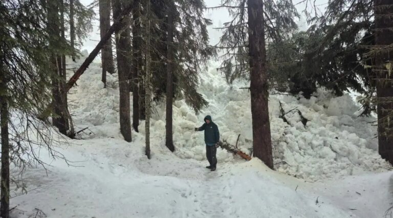 Parcs Canada rouvre avec succès la route menant à Banff Sunshine, en Alberta, au milieu d&rsquo;un cycle d&rsquo;avalanches « extrême »