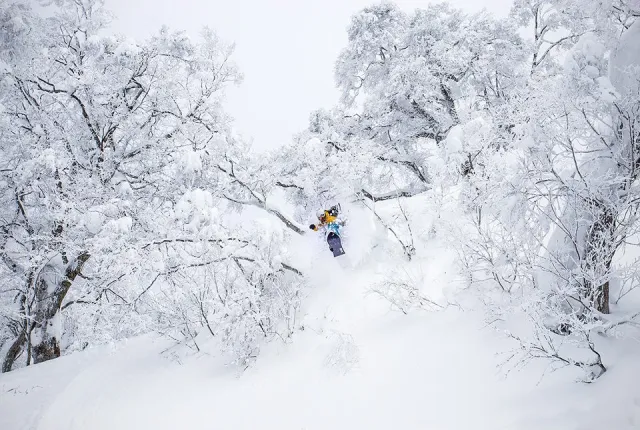 24 décembre 2014. Nozawa Onsen, Japon. photo : Poudremania