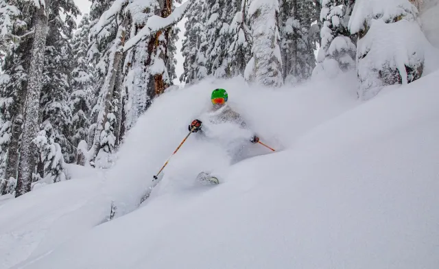 skieur dans la neige profonde et les arbres à Mount Hood Meadows Oregon