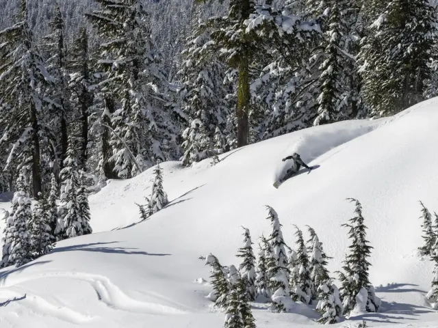 Oregon