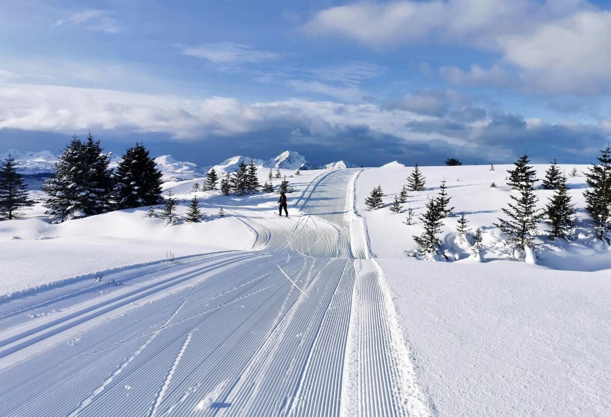 Ski de fond 