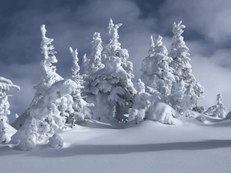 PERCÉE : Les scientifiques découvrent que la neige fatigue réellement !?