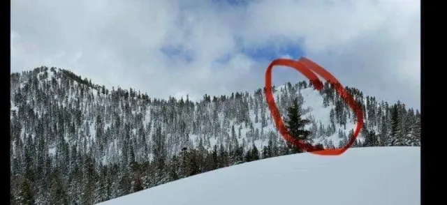 Rapport officiel des avalanches de Castle Peak