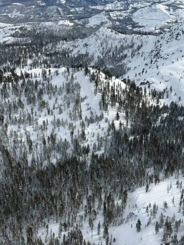 Rapport officiel des avalanches de Castle Peak