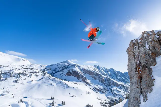 snowbird de printemps ensoleillé