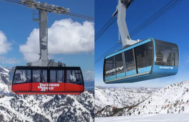 snowbird jackson