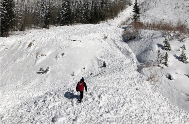 La science derrière les avalanches