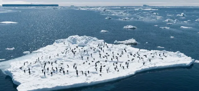 Yacht Sherakhan Antarctique 