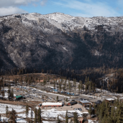 La proposition du service forestier d&rsquo;utiliser le glyphosate (Roundup) près des stations de ski de Tahoe suscite une réaction croissante