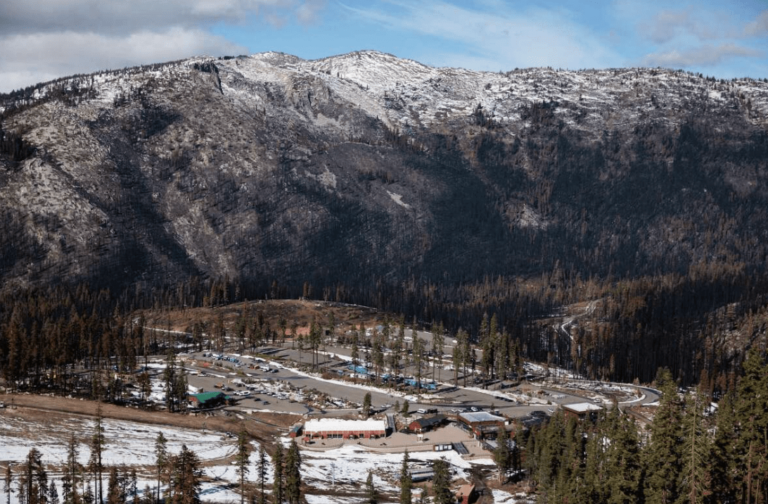 La proposition du service forestier d&rsquo;utiliser le glyphosate (Roundup) près des stations de ski de Tahoe suscite une réaction croissante