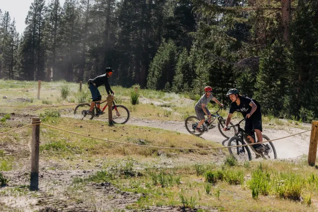 Mammouth VTT