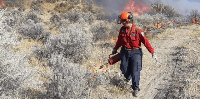 Gestion des incendies de forêt en Colombie-Britannique
