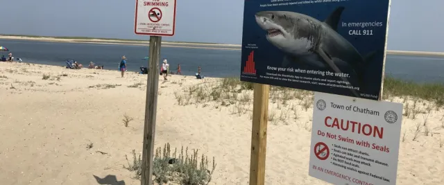 Panneau d'avertissement de requin affiché à l'entrée d'une plage de Cape Cod