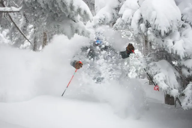 Aperçu de la saison de ski aux États-Unis 2025-26 : un skieur dans la poudreuse profonde au Jay Peak Resort