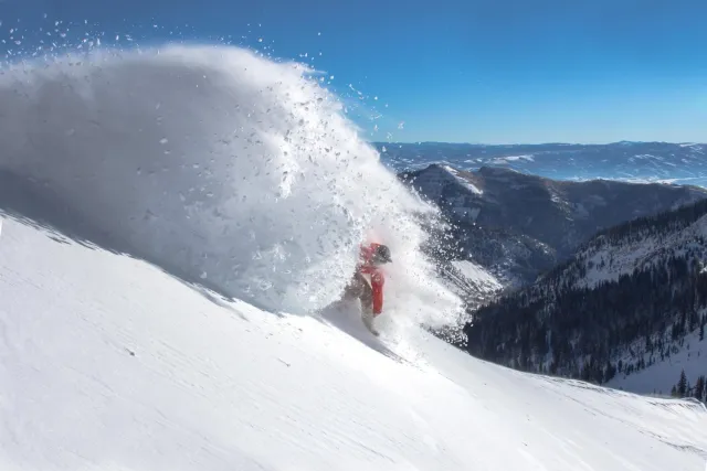 snowbird, icône