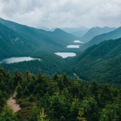 Baptisé le Canada français ce massif des Vosges déroule forêts profondes et lacs glaciaires à perte de vue