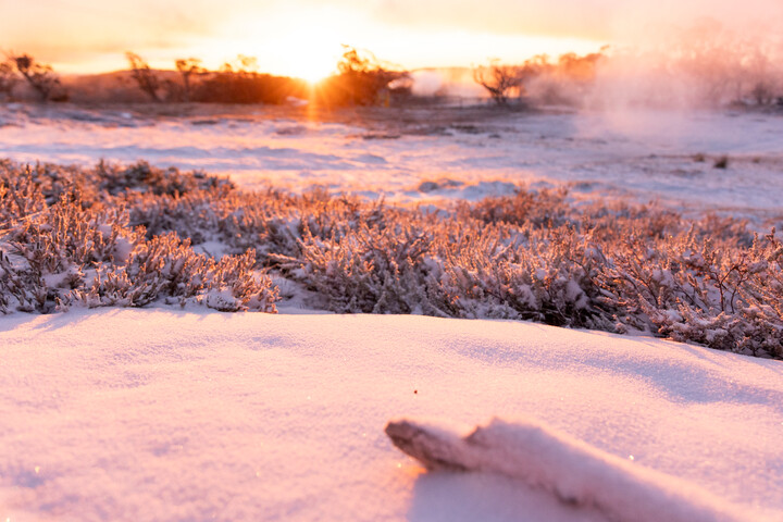 (PHOTOS) L&rsquo;hiver arrive juste au bon moment alors que la neige tombe sur les Alpes australiennes avant le week-end d&rsquo;ouverture