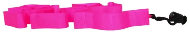 Laisses de poudre aux couleurs vives attachées aux fixations de ski pour localiser les skis perdus dans la poudreuse profonde