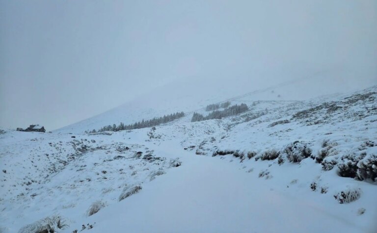 Le mont Lyford en Nouvelle-Zélande ouvrira ses portes jeudi prochain après une tempête de 35 cm apportant de la neige en début de saison