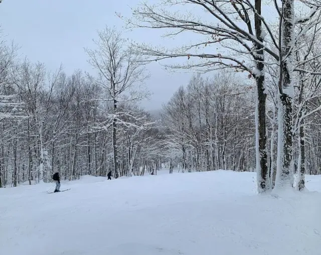 Journée poudreuse au Mont Sutton janvier 2025