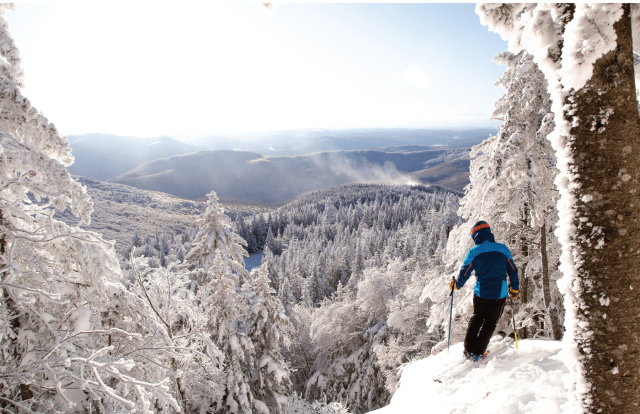 Skieur au-dessus de la limite des arbres poudreux à Bolton Valley, VT