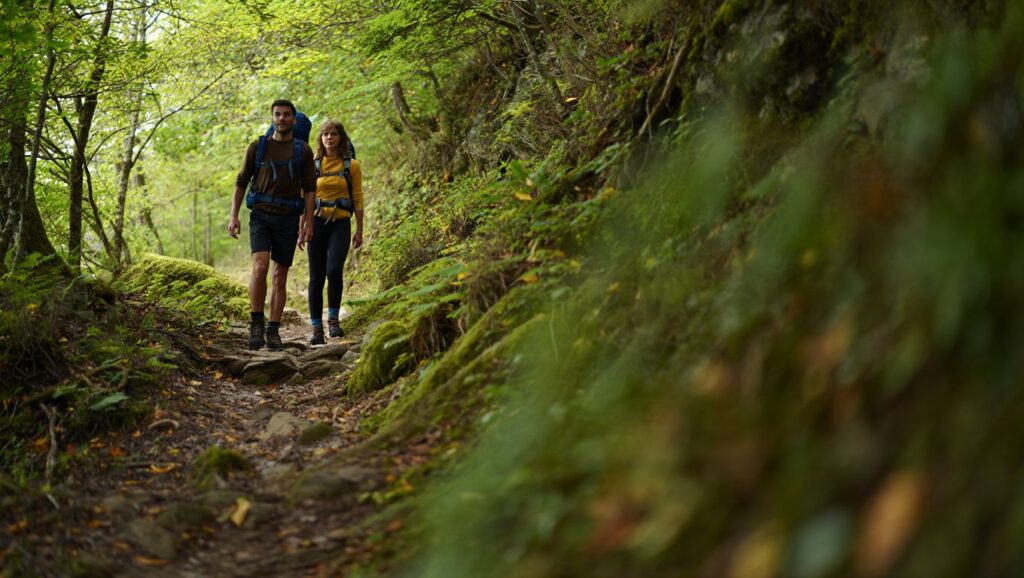 On a parcouru ce sentier oublié des Vosges pendant trois jours sans croiser personne et on vous raconte
