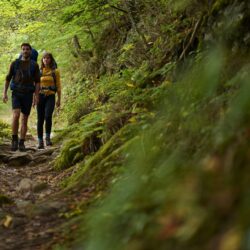 On a parcouru ce sentier oublié des Vosges pendant trois jours sans croiser personne et on vous raconte