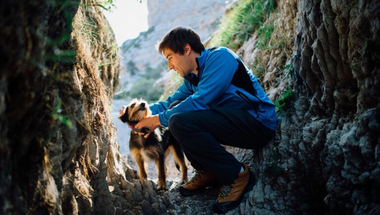 Un randonneur entend des gémissements au fond dʼun ravin et sauve un chien disparu depuis dix jours