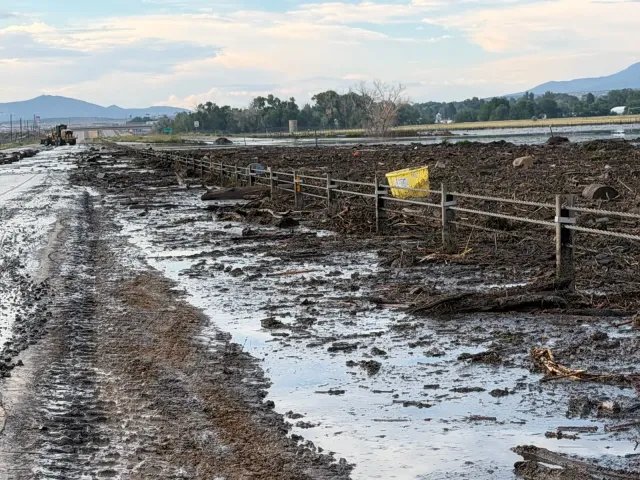 Inondations de castors dans l'Utah 
