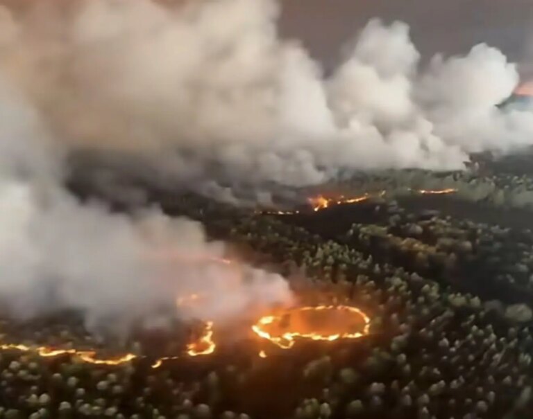 Les incendies de forêt ravagent les régions montagneuses françaises