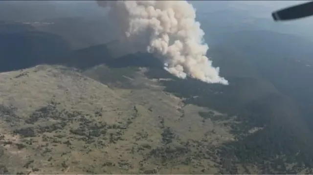 Feu de parc de fourmis