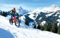Comment choisir la bonne taille de pneu pour votre VTT