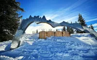 Un skieur de 20 ans reconnu coupable d'homicide par négligence après une collision mortelle