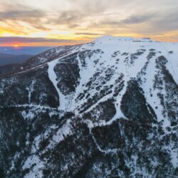 Son fils décède après la chute d&rsquo;un arbre sur une voiture sur Mount Buller Road, en Australie