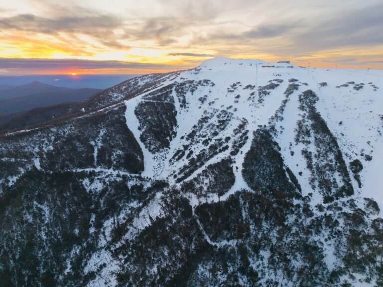 Son fils décède après la chute d&rsquo;un arbre sur une voiture sur Mount Buller Road, en Australie